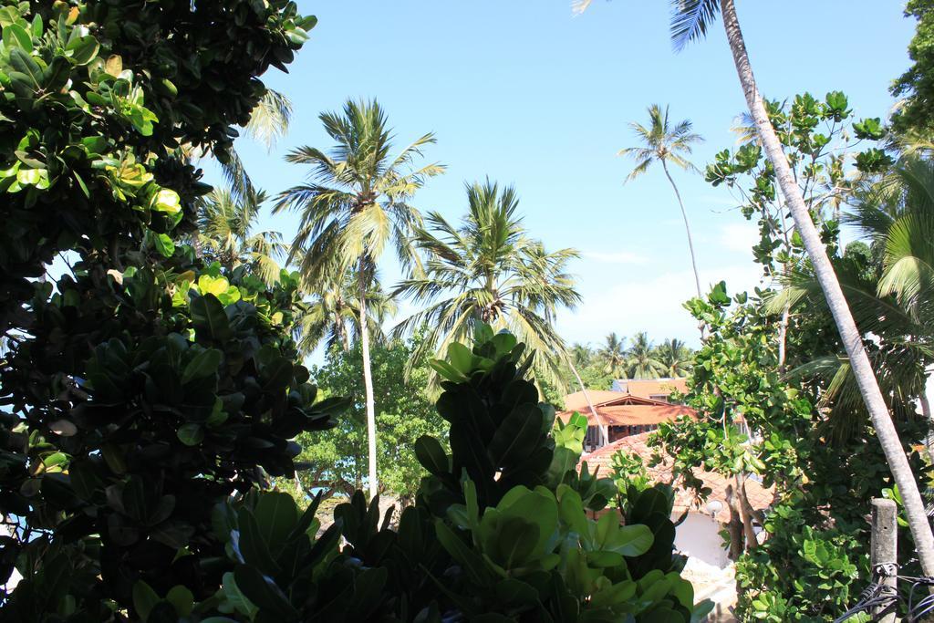 Unawatuna Beach Bungalow - Exterior foto