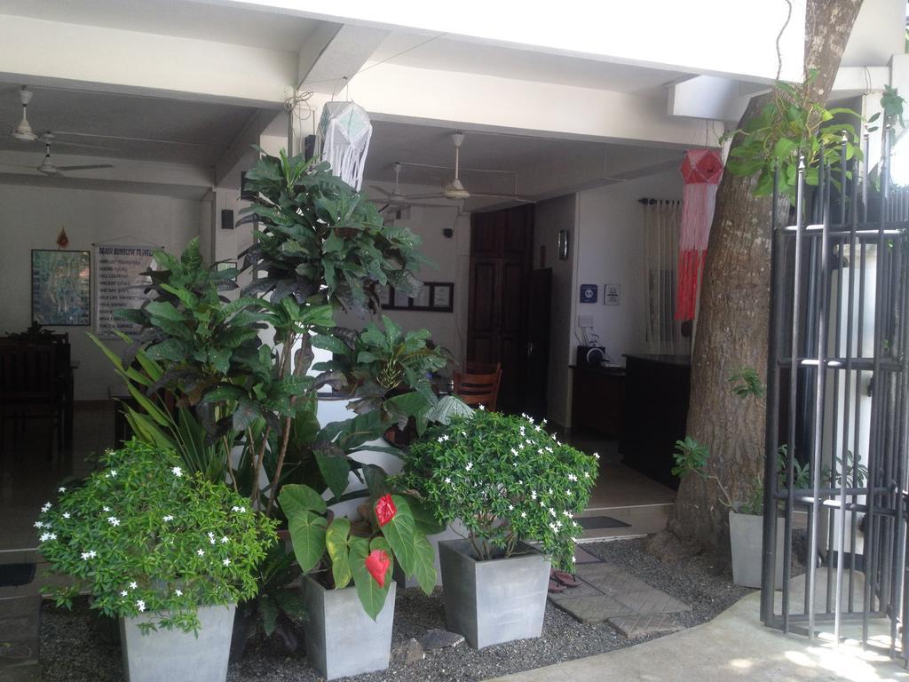 Unawatuna Beach Bungalow - Exterior foto