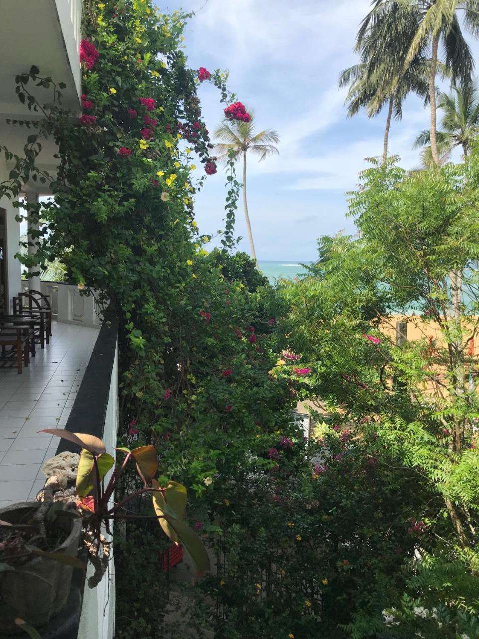 Unawatuna Beach Bungalow - Exterior foto